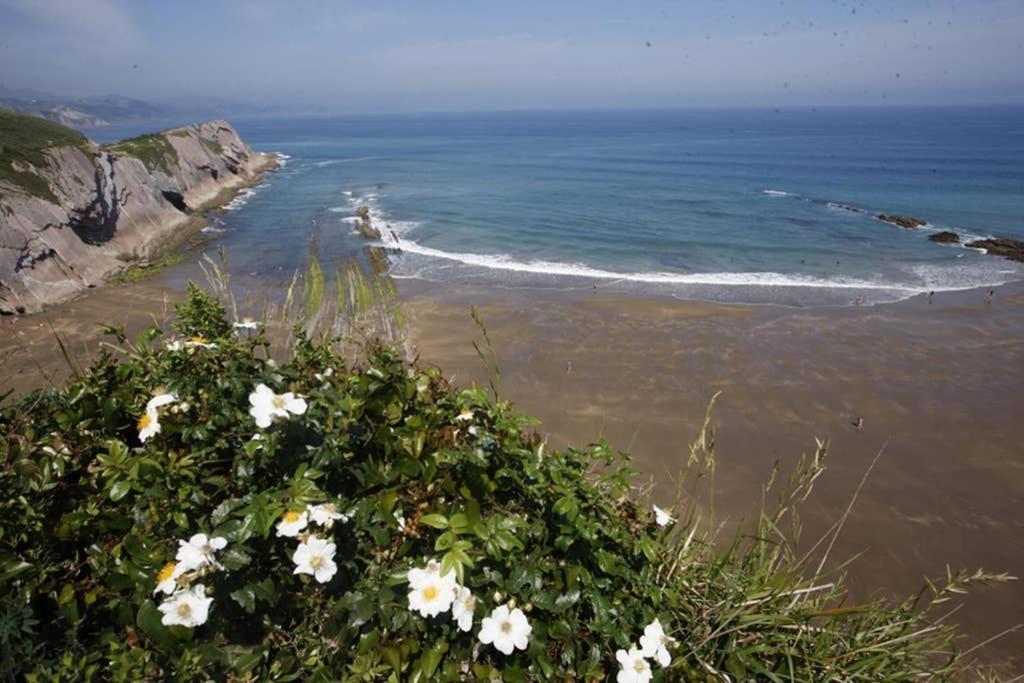2 Habit, Sala, Terraza, Jardin, Parking Gratis Zumaia Exterior foto